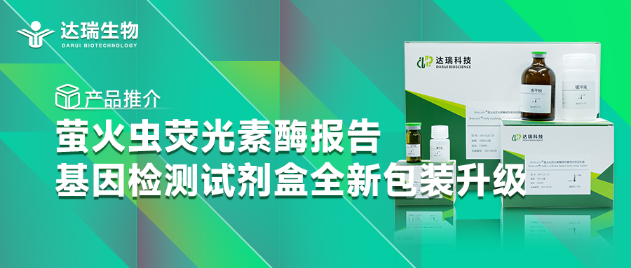 產(chǎn)品推介丨螢火蟲(chóng)熒光素酶報告基因檢測試劑盒全新包裝升級